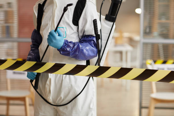Professional Sewage Cleanup technician working in Milton, NH